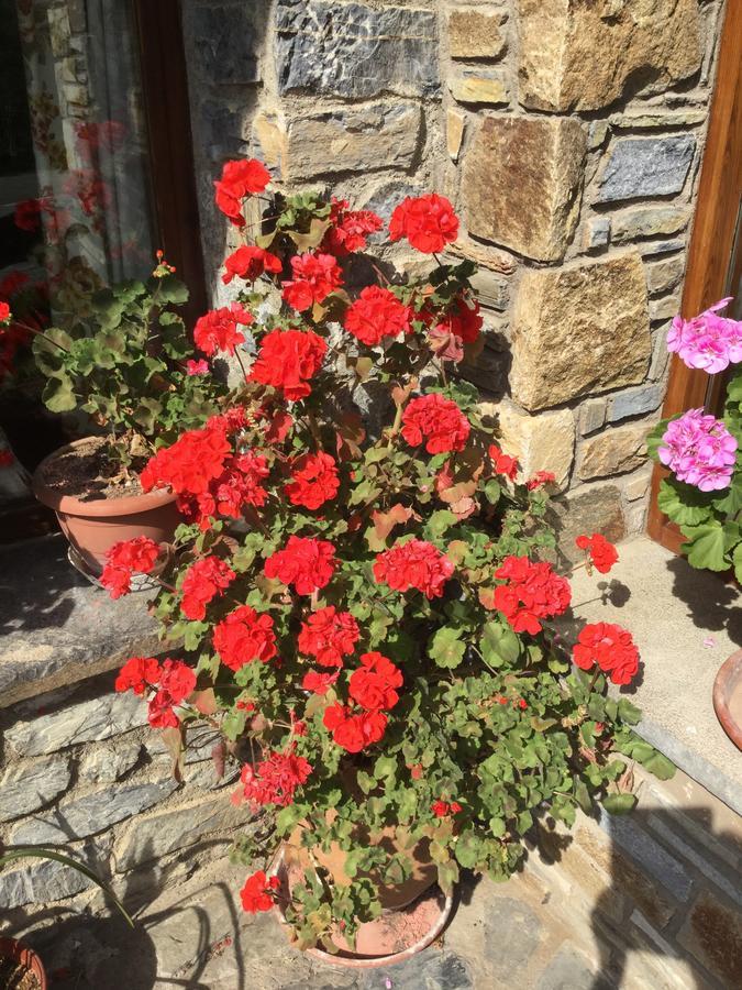 Hostal El Quinta Espinavell 외부 사진